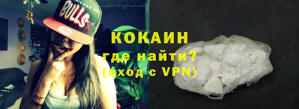 прущие грибы Горняк