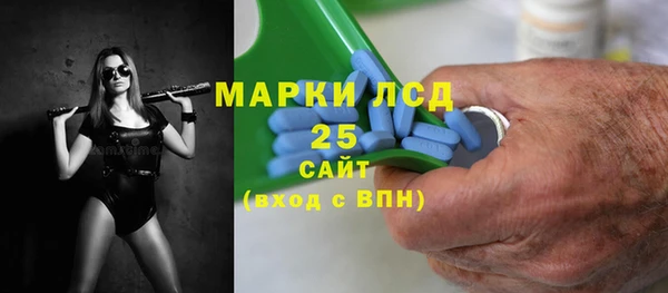 прущие грибы Горняк