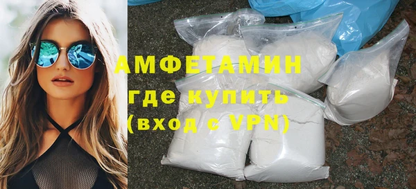 прущие грибы Горняк