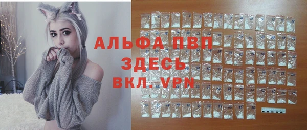 прущие грибы Горняк