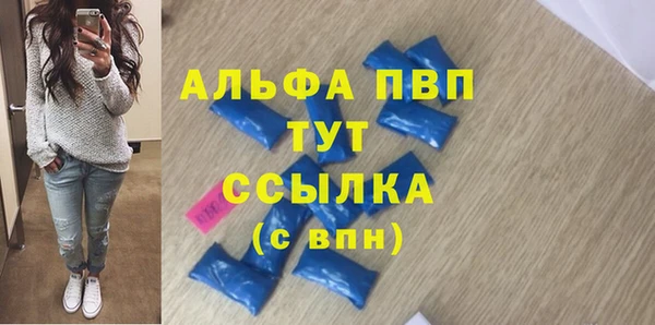прущие грибы Горняк