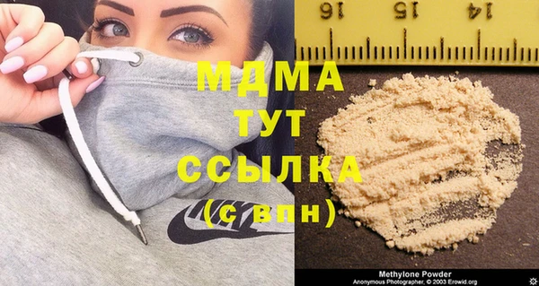 прущие грибы Горняк