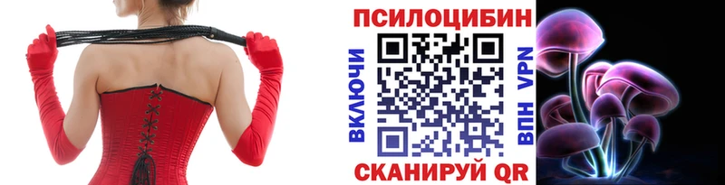где продают   Мценск  Псилоцибиновые грибы мицелий 